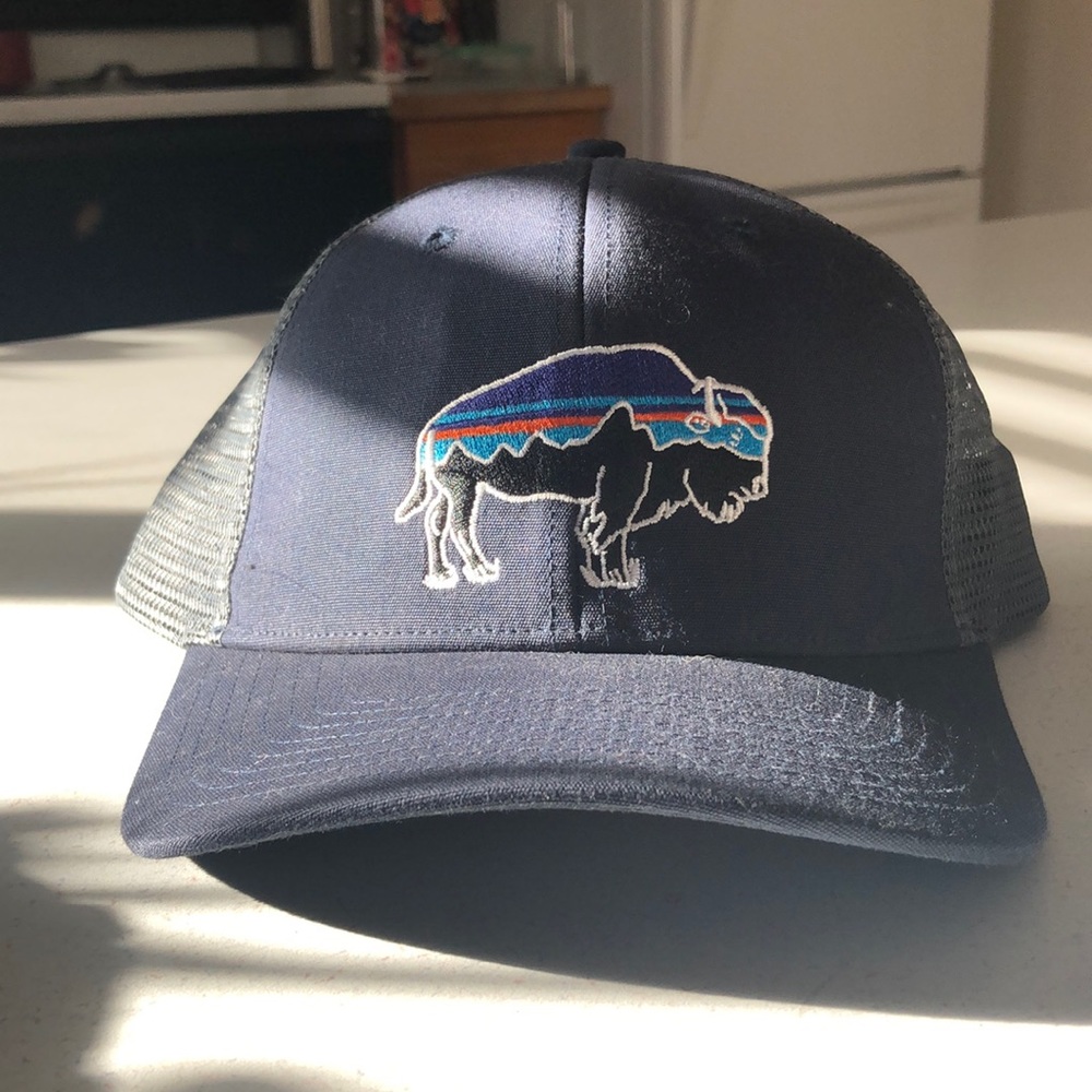 Patagonia Buffalo Trucker Hat